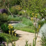 Australian Drought Tolerant Gardens