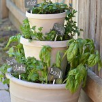 Easy Herb Garden Ideas