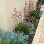 Plants For Narrow Garden Beds Australia