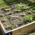 Raised Bed Herb Garden Layout